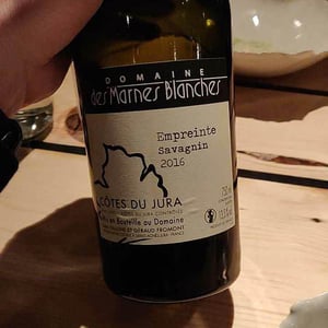 Poulsard - Domaine Des Marnes Blanches - pauline-geraud-fromont