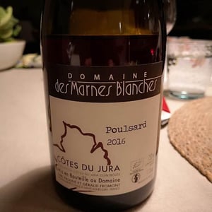 Domaine Des Marnes Blanches - Pauline & Géraud Fromont - Poulsard