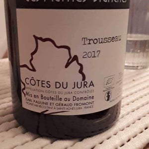 Poulsard - Domaine Des Marnes Blanches - Pauline & Géraud Fromont 