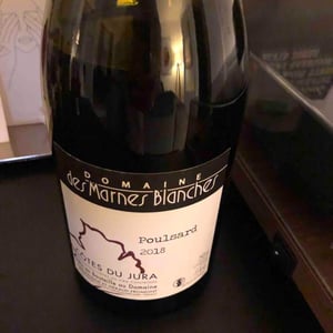 Domaine Des Marnes Blanches - Pauline & Géraud Fromont - Poulsard