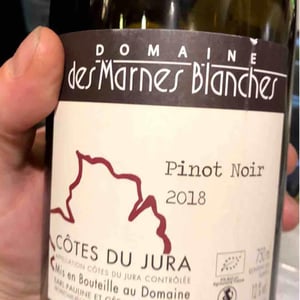 Domaine Des Marnes Blanches - Pauline & Géraud Fromont - Poulsard