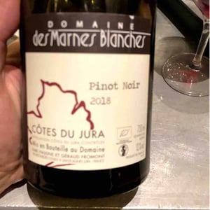 Domaine Des Marnes Blanches - Pauline & Géraud Fromont - Poulsard