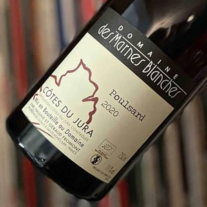 Poulsard - Domaine Des Marnes Blanches - pauline-geraud-fromont