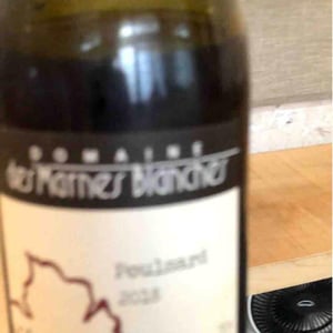 Poulsard
