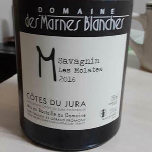Domaine Des Marnes Blanches - Pauline & Géraud Fromont - Poulsard