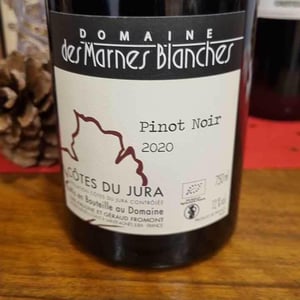 Poulsard - Domaine Des Marnes Blanches - pauline-geraud-fromont