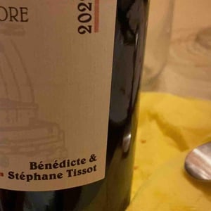 Poulsard Vieilles Vignes - Domaine André & Mireille Tissot - Bénédicte & Stéphane Tissot 