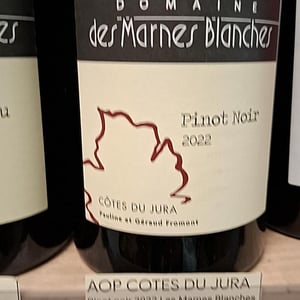 Poulsard - Domaine Des Marnes Blanches - pauline-geraud-fromont