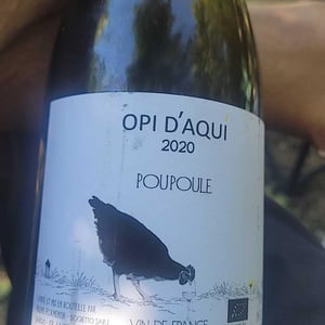 Poupoule - Opi d'Aquí - Philippe Formentin 