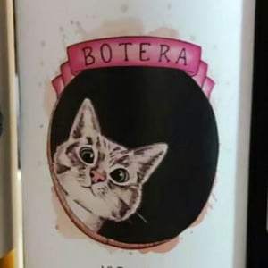 Botera - Celler Ca Foracaime - Sergi Serrano -2021