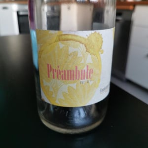 Preambule - Emmanuel Haget - Emmanuel Haget 