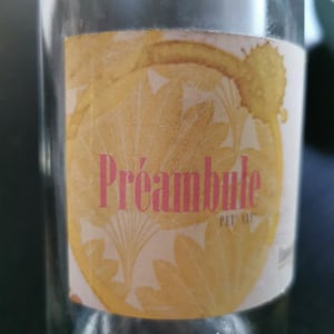 Preambule - Emmanuel Haget - Emmanuel Haget 