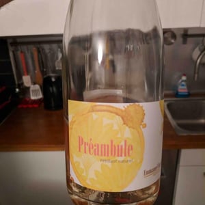 Preambule