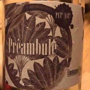 Preambule - Emmanuel Haget - Emmanuel Haget 