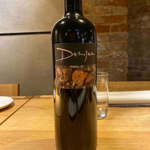 Prelit - Damijan Podversic - damijan-podversic