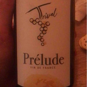 Prélude - Domaine de Trivel - Sidonie Joggerst & Thomas Guillon 