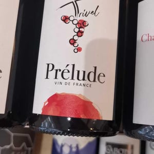 Prélude - Domaine de Trivel - Sidonie Joggerst & Thomas Guillon 