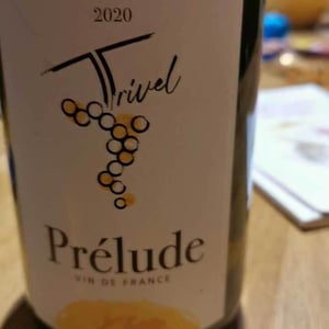 Prélude - Domaine de Trivel - Sidonie Joggerst & Thomas Guillon 