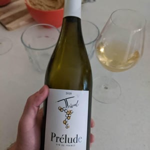 Prélude - Domaine de Trivel - Sidonie Joggerst & Thomas Guillon 