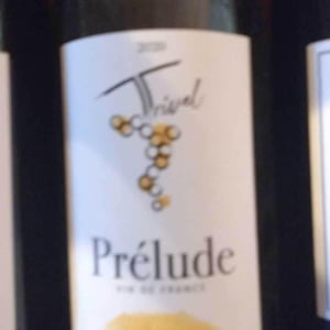 Prélude - Domaine de Trivel - sidonie-joggerst-thomas-guillon