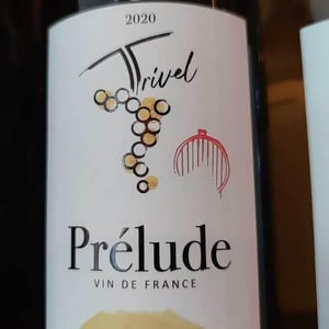 Prélude - Domaine de Trivel - sidonie-joggerst-thomas-guillon