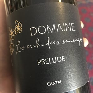 Prélude - Les Orchidées Sauvages - sebastien-lavaurs