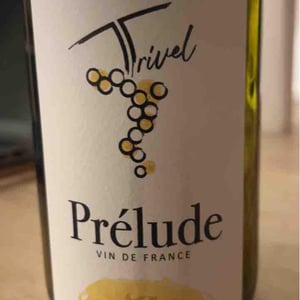 Prélude - Domaine de Trivel - Sidonie Joggerst & Thomas Guillon 