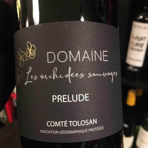 Prélude - Les Orchidées Sauvages - Sébastien Lavaurs 