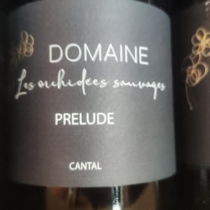 Prélude - Les Orchidées Sauvages - Sébastien Lavaurs 