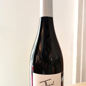 Prélude - Domaine de Trivel - Sidonie Joggerst & Thomas Guillon 