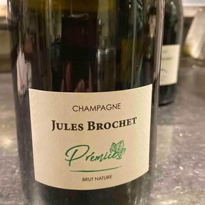 Prémice - Jules Brochet - pierric-brochet -2016