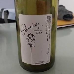 Domaine de Botheland - Rémi Dufaitre & Laurence Liatard - Prémices