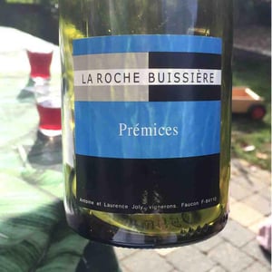 Prémices - La Roche Buissière - laurence-antoine-joly -2024