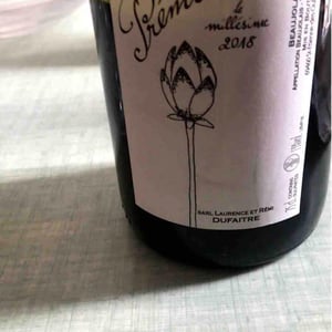 Domaine de Botheland - Rémi Dufaitre & Laurence Liatard - Prémices