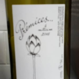 Domaine de Botheland - Rémi Dufaitre & Laurence Liatard - Prémices
