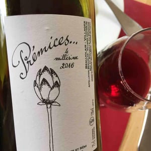 Domaine de Botheland - Rémi Dufaitre & Laurence Liatard - Prémices