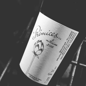 Domaine de Botheland - Rémi Dufaitre & Laurence Liatard - Prémices