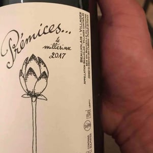Domaine de Botheland - Rémi Dufaitre & Laurence Liatard - Prémices