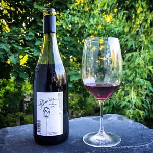 Domaine de Botheland - Rémi Dufaitre & Laurence Liatard - Prémices