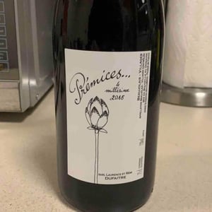 Domaine de Botheland - Rémi Dufaitre & Laurence Liatard - Prémices