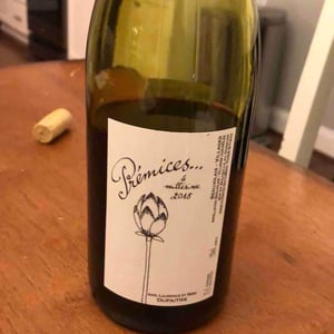 Domaine de Botheland - Rémi Dufaitre & Laurence Liatard - Prémices
