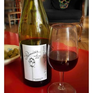 Domaine de Botheland - Rémi Dufaitre & Laurence Liatard - Prémices