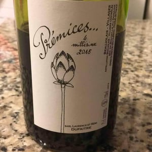 Domaine de Botheland - Rémi Dufaitre & Laurence Liatard - Prémices