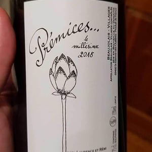 Domaine de Botheland - Rémi Dufaitre & Laurence Liatard - Prémices