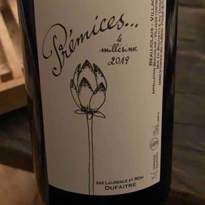 Domaine de Botheland - Rémi Dufaitre & Laurence Liatard - Prémices