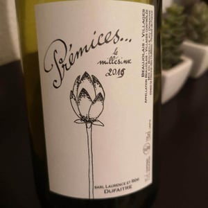 Domaine de Botheland - Rémi Dufaitre & Laurence Liatard - Prémices