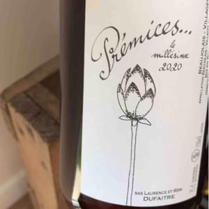 Domaine de Botheland - Rémi Dufaitre & Laurence Liatard - Prémices