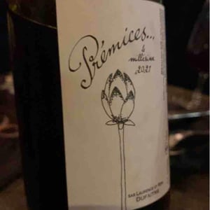Domaine de Botheland - Rémi Dufaitre & Laurence Liatard - Prémices