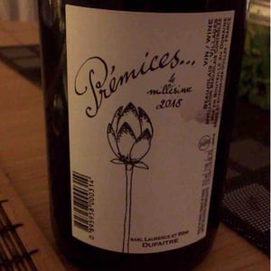 Domaine de Botheland - Rémi Dufaitre & Laurence Liatard - Prémices