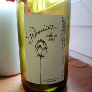Domaine de Botheland - Rémi Dufaitre & Laurence Liatard - Prémices
